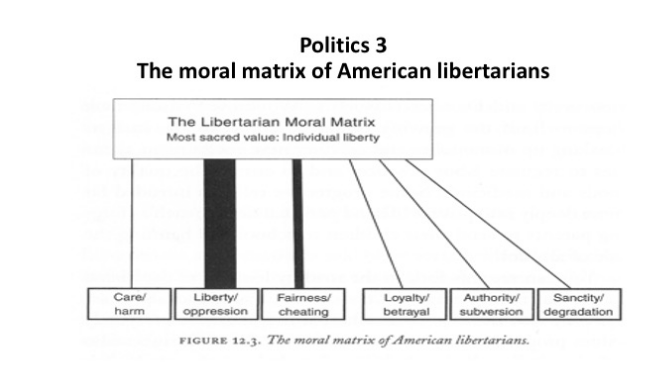 The moral matrix of American libertarians, who value liberty most of all, then fairness, and then everything else. 