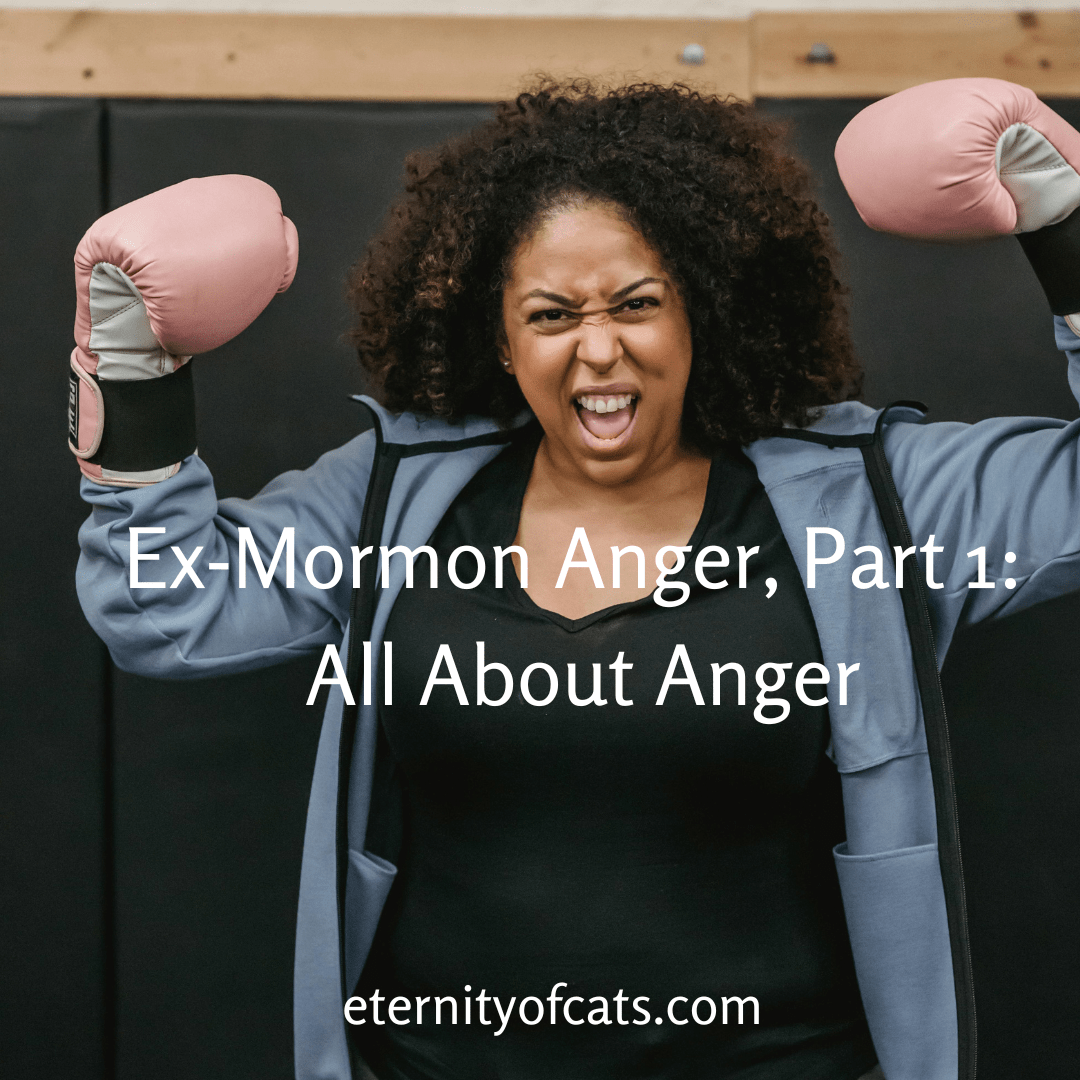 A Black woman in boxing gloves looks at the camera with an angry and energized face